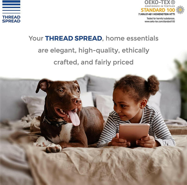 Pure Egyptian Quality Queen Size Cotton Bed Sheet Set - 600 TC Luxury 4 Piece 100% Cotton Bedsheets and Pillow Cases for Queen Beds - Soft, Sateen Weave, Deep Pocket Fitted and Flat Sheets - (Blush) - Textilura